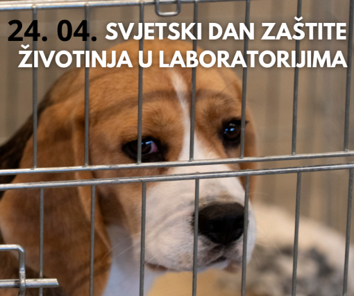 dan za�tite �ivotinja u laboratorijima [ 1.02 Mb ]