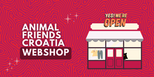webshop [ 1.52 Mb ]