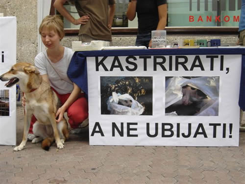 Kastrirati a ne ubijati 2