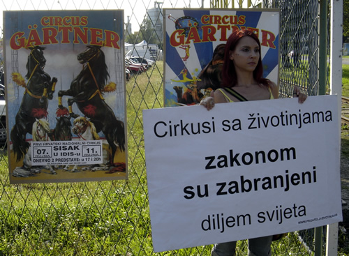 Cirkuska sramota se vratila 3