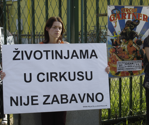 Cirkuska sramota se vratila 4