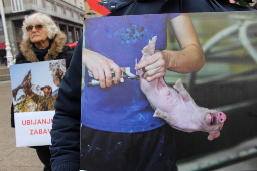 International Animal Rights Day 2023 [ 335.53 Kb ]