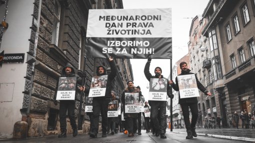 Animal rights day- Photos by David Ramms [ 173.00 Kb ]