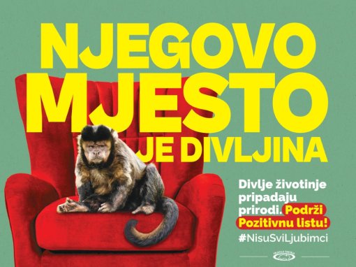 pozitivna lista [ 159.02 Kb ]