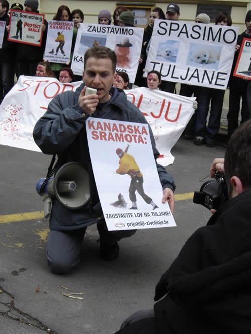 'Krvavi' aktivisti za krvave bebe tuljana 2 'Krvavi' aktivisti za krvave bebe tuljana 2