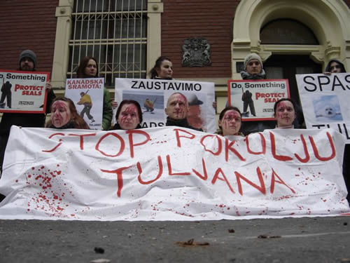 'Krvavi' aktivisti za krvave bebe tuljana 5 'Krvavi' aktivisti za krvave bebe tuljana 5