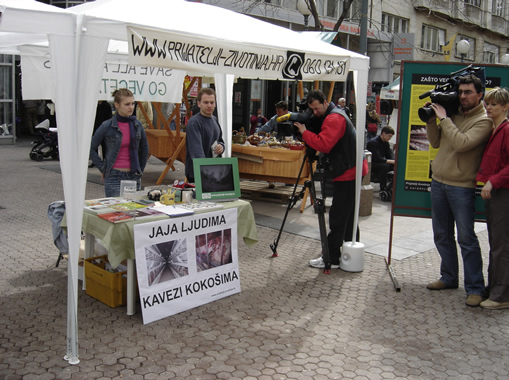 Dan u kavezu 1