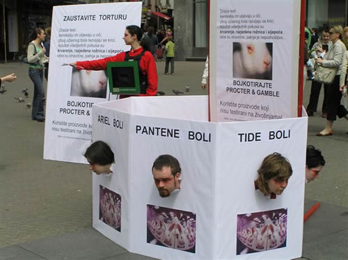 Slijepi zbog ljepote (1) Slijepi zbog ljepote (1)