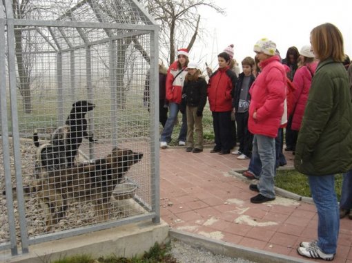 Posjet djece Dumovcu 3