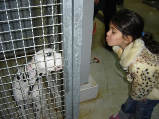 Posjet djece Dumovcu 5