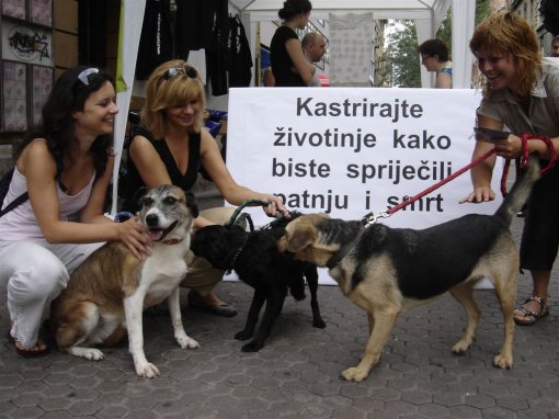 Kastracija spa�ava �ivote [ 143.68 Kb ]