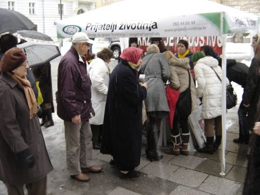 Anti-fur demo in Sarajevo 4 [ 95.64 Kb ]
