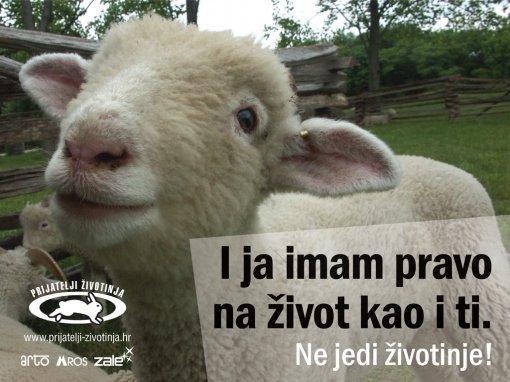 I ja imam pravo na �ivot kao i ti [ 683.88 Kb ]