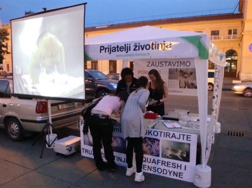 Procter & Gamble Zagreb 1 [ 90.45 Kb ]