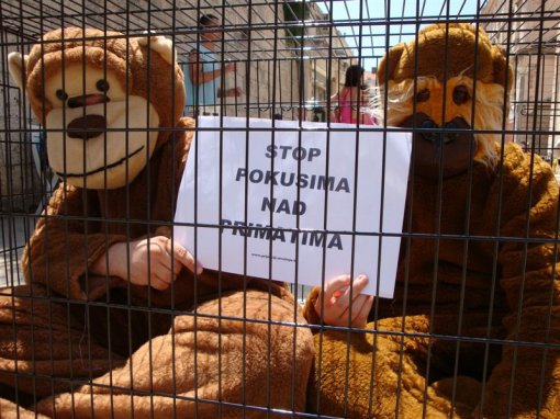 For a Ban on Primate Experiments [ 128.79 Kb ]