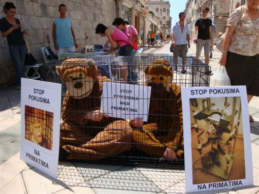 For a Ban on Primate Experiments2 [ 129.52 Kb ]