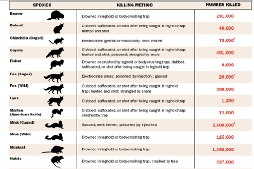 Table of killed animals - HSUS Table of killed animals - HSUS