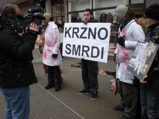 Akcija protiv krzna u Osijeku 3 [ 84.24 Kb ]