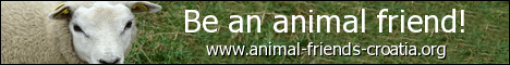 Be an animal friend! - eng Be an animal friend! - eng
