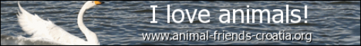 I love animals! - eng I love animals! - eng