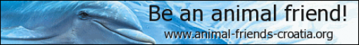 Be an animal friend! - eng Be an animal friend! - eng