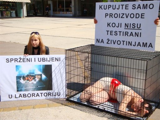 Akcija Spr�eni iza re�etaka 1 [ 123.52 Kb ]