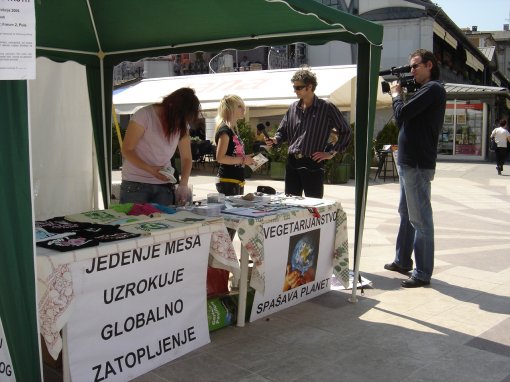 Jo� jedna neugodna istina, Pula [ 567.24 Kb ]