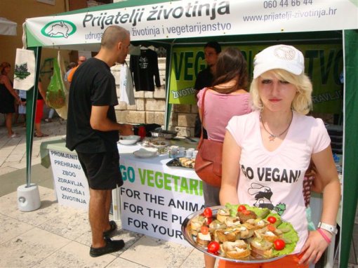 Vege turneja Zadar 1 [ 116.81 Kb ]