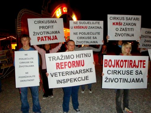Demo against the circus Safari [ 307.23 Kb ]