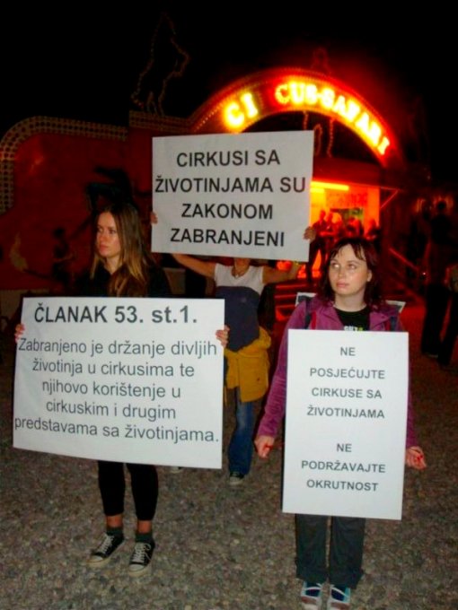 Demo against the circus Safari [ 258.63 Kb ]