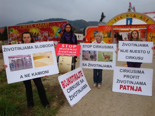 Prosvjedi ispred cirkusa sa �ivotinjama Safari u Samoboru [ 160.01 Kb ]