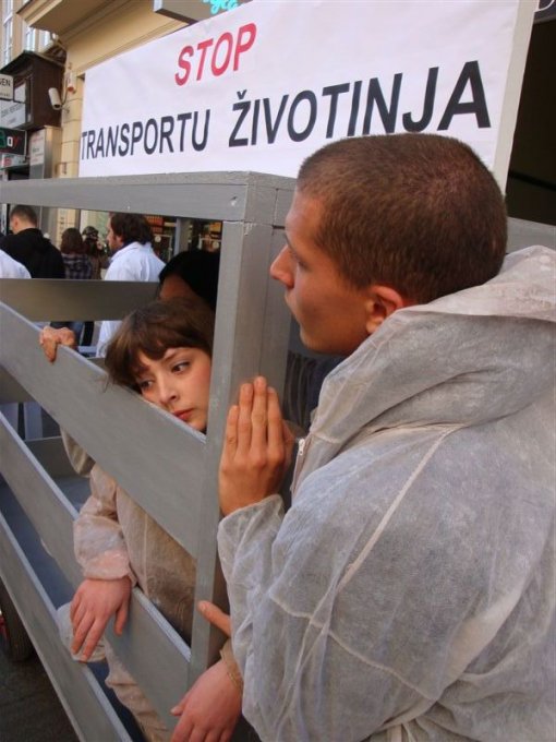 Prosvjed protiv transporta �ivotinja 2009 c [ 87.04 Kb ]