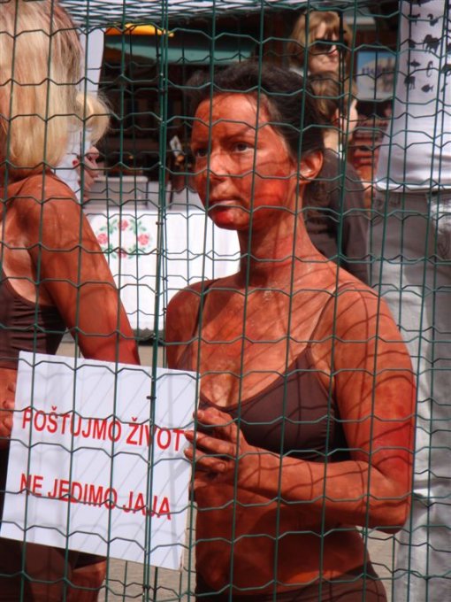 Demo against the eating of eggs [ 114.06 Kb ]