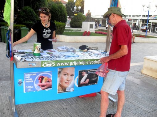 Info Stall in Biograd 1 [ 462.21 Kb ]