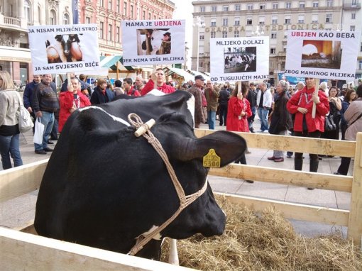 Glass of Milk - Glass Full of Suffering 2 [ 128.79 Kb ]