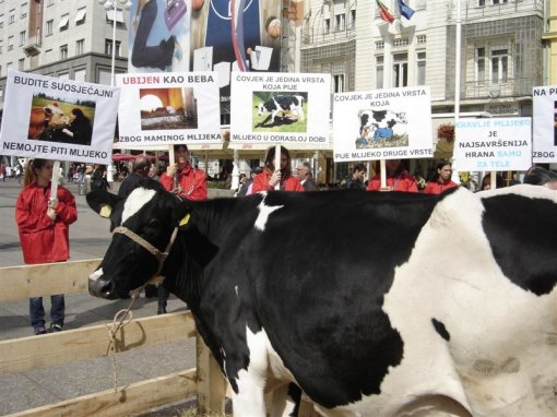 Glass of Milk - Glass Full of Suffering 3 [ 119.88 Kb ]