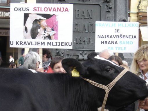 Glass of Milk - Glass Full of Suffering 6 [ 86.95 Kb ]