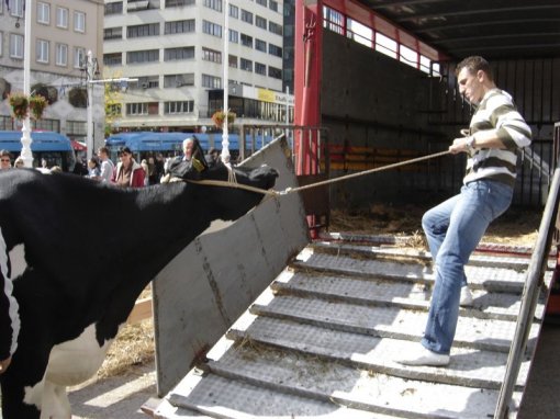 Glass of Milk - Glass Full of Suffering 8 [ 107.37 Kb ]