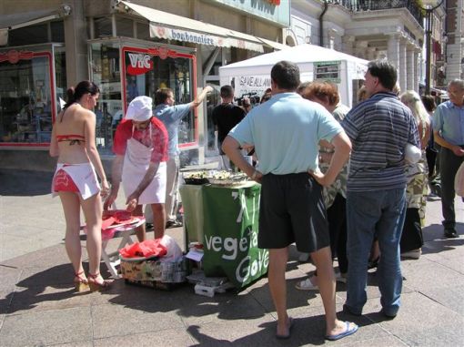 ro�tilj_ri1