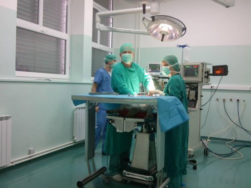 Faculty of the Vetarinary Medicine 2