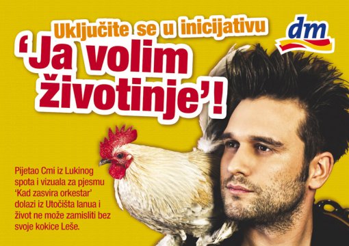 Luka Ni�eti� - Kad orkestar zasvira [ 172.58 Kb ]