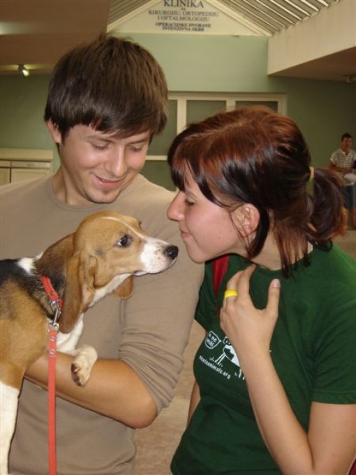 Oslobađanje beagleova 10 Oslobađanje beagleova 10
