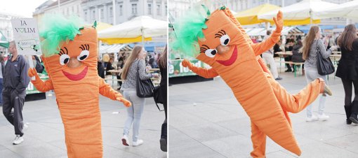 ZeGeVege Festival 2011 - Carrot maskot [ 269.82 Kb ]