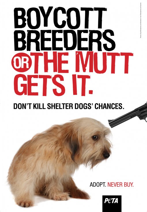 Boycott Breaders of the Mutt Gets It [ 280.51 Kb ]