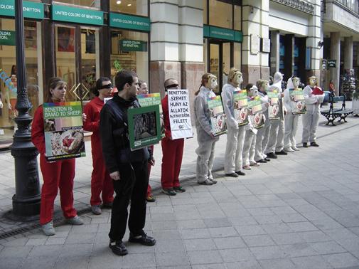 Benetton_Budimpe�ta1