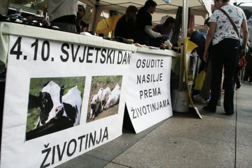 Svjetski dan za�tite �ivotinja [ 142.01 Kb ]