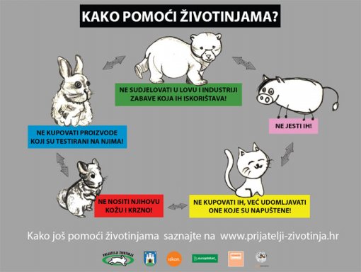 Plakat 'Kako pomo�i �ivotinjama?' [ 94.55 Kb ]