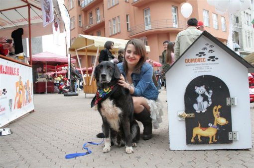 Udomljavanje je fora travanj 2013. [ 95.01 Kb ]