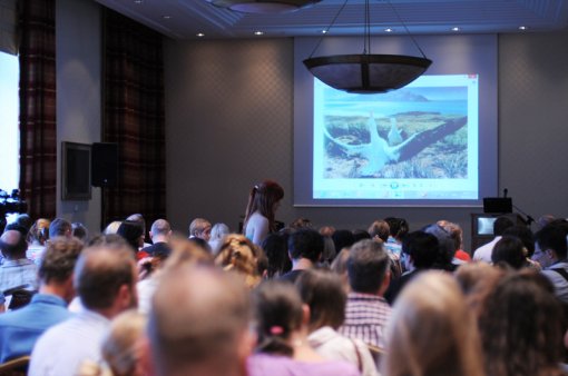 Will Tuttle in Croatia! [ 363.84 Kb ]