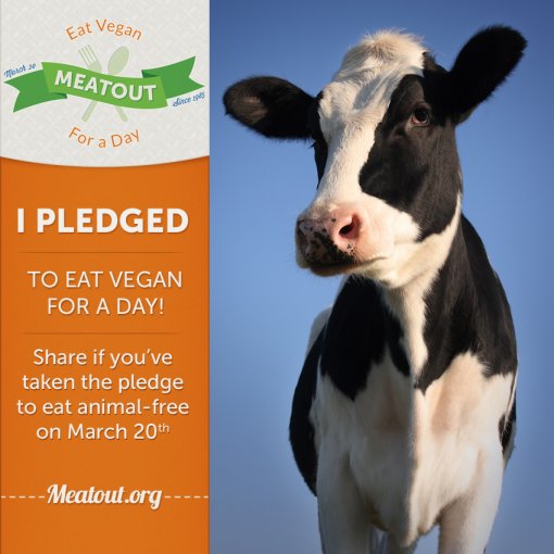 Meatout I pledge [ 508.56 Kb ]